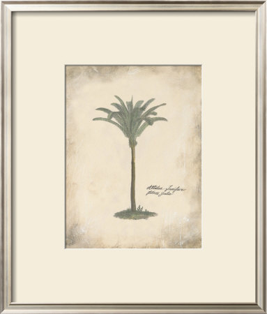 Fibres Palm by Hewitt Pricing Limited Edition Print image