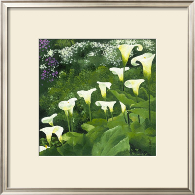 Arums by Jordane D. Grux Pricing Limited Edition Print image