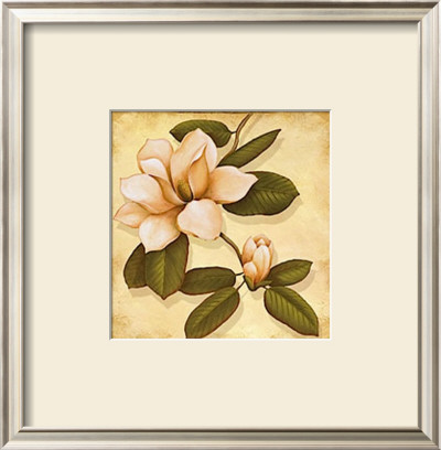Gold Magnolia Ii by Daphne Pricing Limited Edition Print image