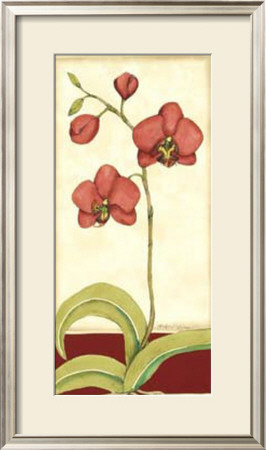Orchid Elegance I by Jennifer Goldberger Pricing Limited Edition Print image
