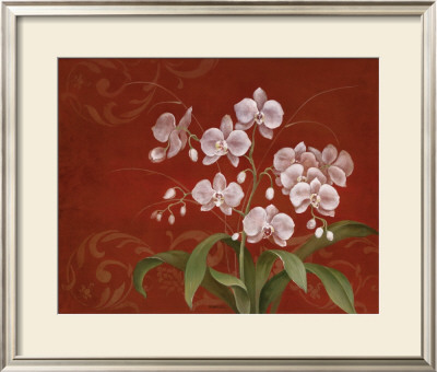 Say It With Orchids Ii by Eugene Tava Pricing Limited Edition Print image