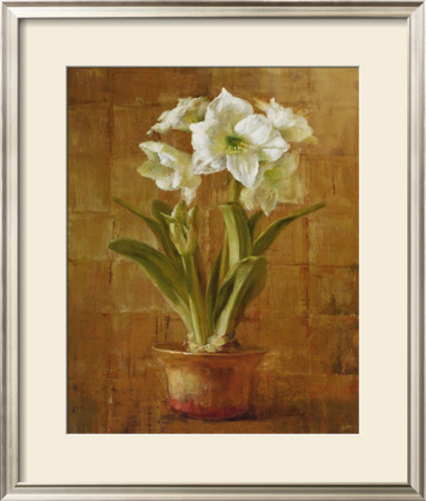 White Amaryllis On Bronze by Danhui Nai Pricing Limited Edition Print image