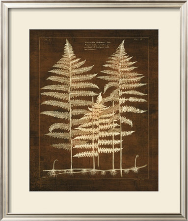 Terra Fern Ii by Maxwell Hutchinson Pricing Limited Edition Print image