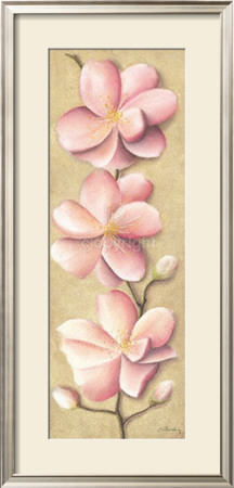 Pastel Blossoms by Caroline Wenig Pricing Limited Edition Print image