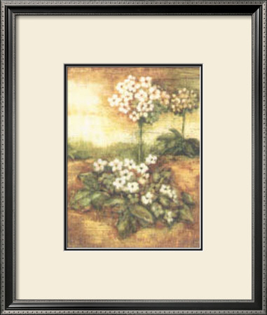 Primrose by Tina Chaden Pricing Limited Edition Print image
