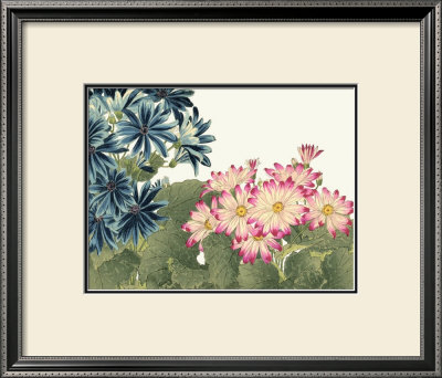 Japanese Flower Garden Iv by Konan Tanigami Pricing Limited Edition Print image