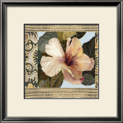 Hibiscus Ii by Di Grazzia Pricing Limited Edition Print image