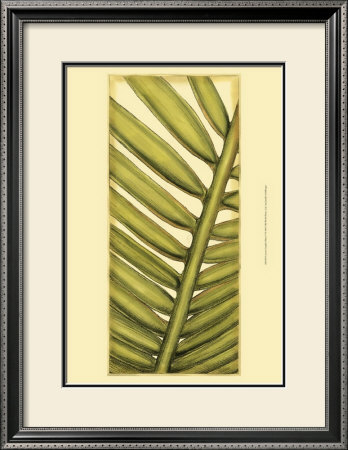 Custom Graphic Palms V by Jennifer Goldberger Pricing Limited Edition Print image
