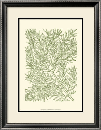 Mossy Branches I by Henri Du Monceau Pricing Limited Edition Print image
