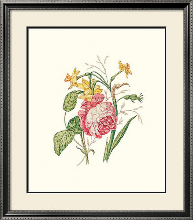 Narcissus With Red Rose by L. Meyer Pricing Limited Edition Print image