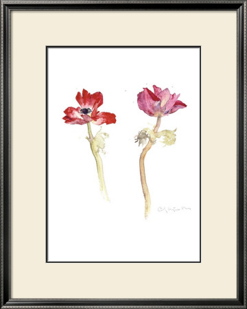 Red Anemones by Carol Matyia Ross Pricing Limited Edition Print image