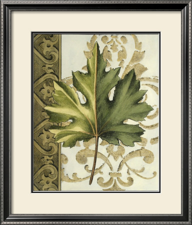 Leaf Assortment I by Ethan Harper Pricing Limited Edition Print image