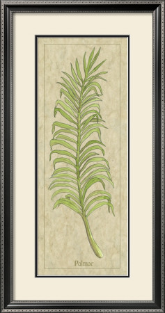 Palmae Leaf by Alicia Ludwig Pricing Limited Edition Print image