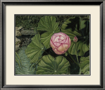 Enchanting Lotus by Gloria J. Callahan Pricing Limited Edition Print image