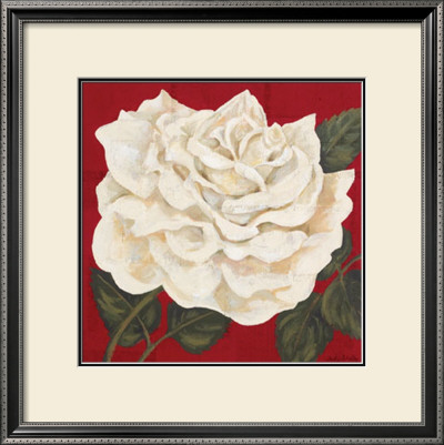 Rosa Blanca I by Judy Shelby Pricing Limited Edition Print image