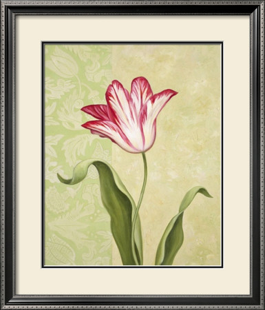 Timid Tulip by Debra Lake Pricing Limited Edition Print image