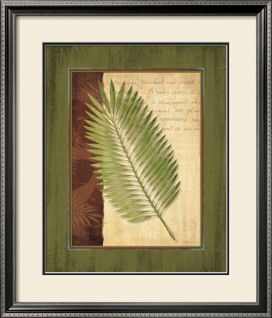 Palm Tropical Iii by Delphine Corbin Pricing Limited Edition Print image
