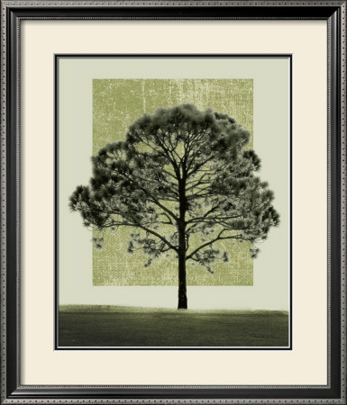 Natures Shapes I by Harold Silverman Pricing Limited Edition Print image