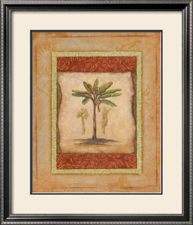 Palm Botanical Study I by Susan Osborne Pricing Limited Edition Print image