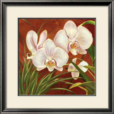 Red Orchid by Laurie Snow Hein Pricing Limited Edition Print image
