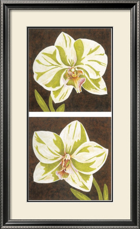 Surabaya Orchids by Judy Shelby Pricing Limited Edition Print image