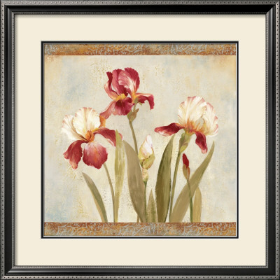 Iris Tapestry Ii by Asia Jensen Pricing Limited Edition Print image