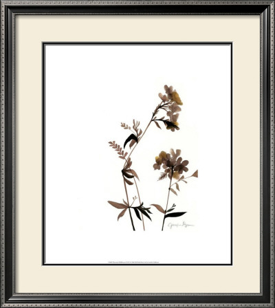 Watermark Wildflowers Ii by Jennifer Goldberger Pricing Limited Edition Print image