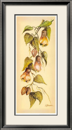 Flores Colgantes Ii by L. Romero Pricing Limited Edition Print image