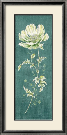 Teal Poppy by Clare Lake Pricing Limited Edition Print image