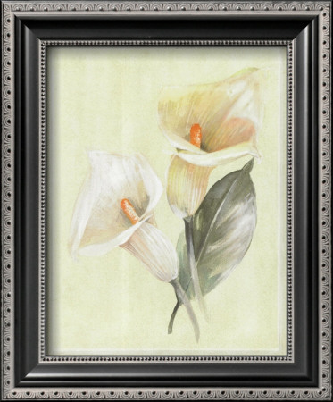 Calla Lily Iv by Paul Hargittai Pricing Limited Edition Print image