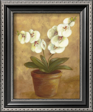 White And Red Flowers In Pot by Jose Gomez Pricing Limited Edition Print image