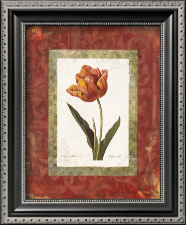 Tulipe Cultivee by Carol Robinson Pricing Limited Edition Print image
