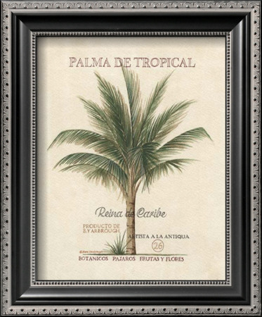 Palma De Tropical by Beth Yarbrough Pricing Limited Edition Print image