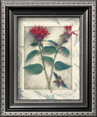 Bee Balm by Julie Nightingale Pricing Limited Edition Print image