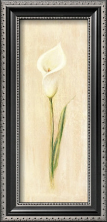 White Cala Lily by David Col Pricing Limited Edition Print image