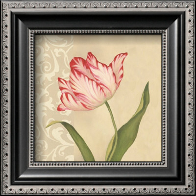 Eloquent Tulip by Debra Lake Pricing Limited Edition Print image