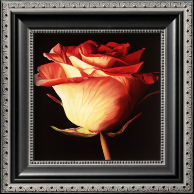 Rose I by Linda Mcvay Pricing Limited Edition Print image