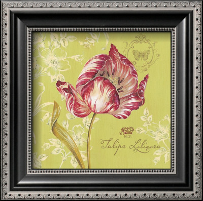 Toile Tulip by Stefania Ferri Pricing Limited Edition Print image