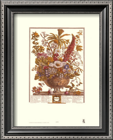 Twelve Months Of Flowers, 1730, December by Robert Furber Pricing Limited Edition Print image