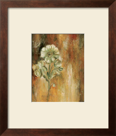 Papaveraceae I by Escha Van Den Bogerd Pricing Limited Edition Print image