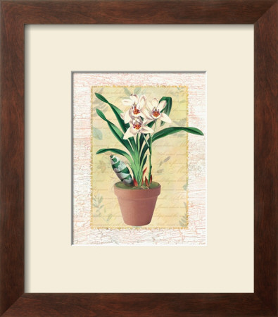 Potted Cymbidium by Walter Robertson Pricing Limited Edition Print image