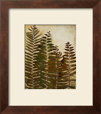 Ferns I by Patricia Quintero-Pinto Pricing Limited Edition Print image