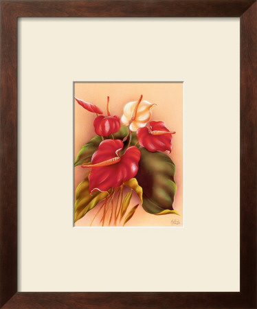 Red And White Anthuriums by Frank Oda Pricing Limited Edition Print image