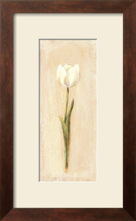 White Tulip by David Col Pricing Limited Edition Print image
