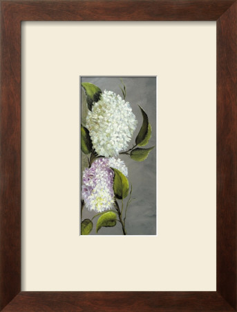 Hortensia Ideal Ii by Ximena Pricing Limited Edition Print image