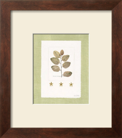 Starfish Botanical Iii by Leslie Mueller Pricing Limited Edition Print image