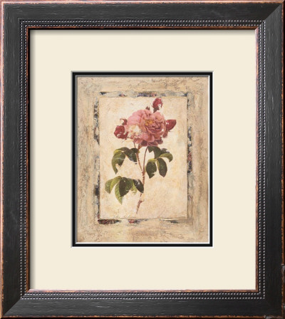 Rose Texture I by Joyce Combs Pricing Limited Edition Print image