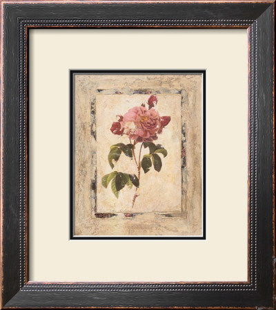 Rose Texture I by Joyce Combs Pricing Limited Edition Print image
