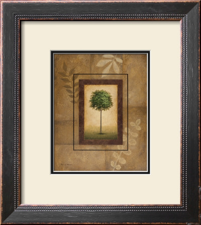 Brazil Nut Tree by Michael Marcon Pricing Limited Edition Print image