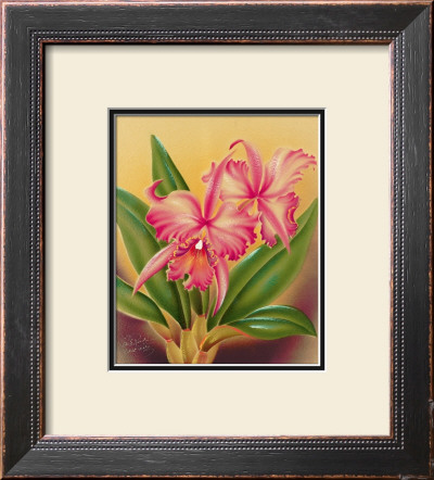 Cattleya by Hale Pua Studio Pricing Limited Edition Print image